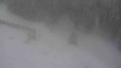 Přístup na běžeckou trať