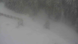 Přístup na běžeckou trať