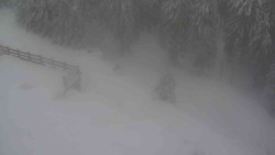 Přístup na běžeckou trať