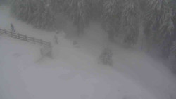 Přístup na běžeckou trať