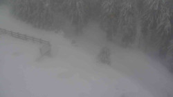 Přístup na běžeckou trať