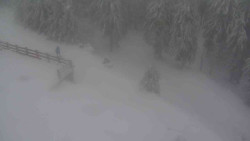 Přístup na běžeckou trať