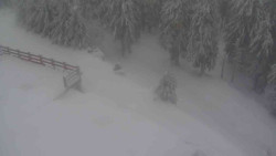 Přístup na běžeckou trať