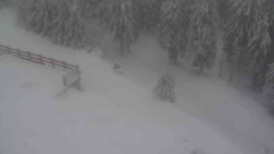 Přístup na běžeckou trať