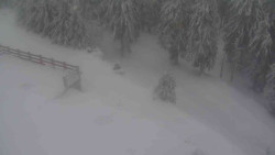 Přístup na běžeckou trať