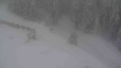 Přístup na běžeckou trať