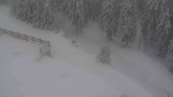 Přístup na běžeckou trať