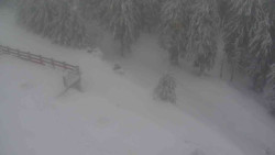 Přístup na běžeckou trať