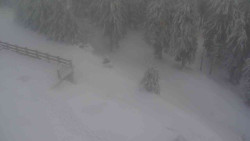 Přístup na běžeckou trať