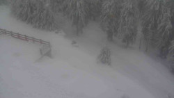 Přístup na běžeckou trať