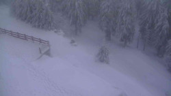 Přístup na běžeckou trať