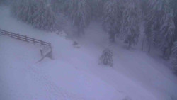 Přístup na běžeckou trať