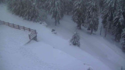 Přístup na běžeckou trať