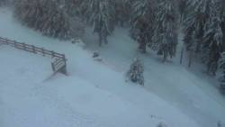 Přístup na běžeckou trať