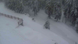 Přístup na běžeckou trať