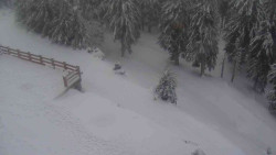 Přístup na běžeckou trať