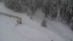 Přístup na běžeckou trať