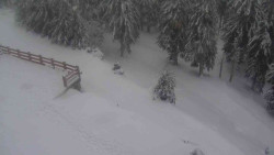 Přístup na běžeckou trať