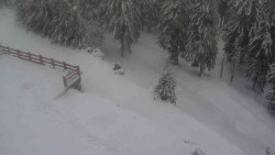 Přístup na běžeckou trať