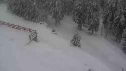 Přístup na běžeckou trať