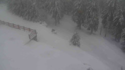 Přístup na běžeckou trať