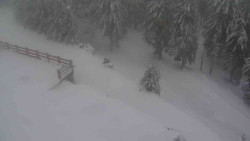 Přístup na běžeckou trať