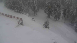 Přístup na běžeckou trať