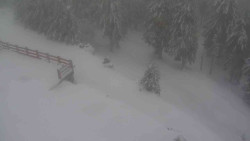 Přístup na běžeckou trať