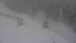 Přístup na běžeckou trať