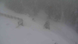 Přístup na běžeckou trať