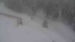 Přístup na běžeckou trať