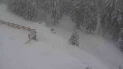 Přístup na běžeckou trať