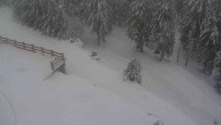 Přístup na běžeckou trať