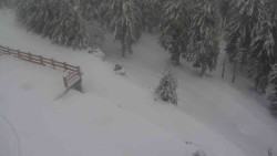 Přístup na běžeckou trať