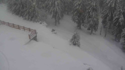 Přístup na běžeckou trať