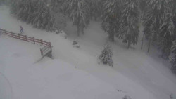 Přístup na běžeckou trať