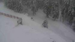 Přístup na běžeckou trať