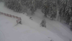 Přístup na běžeckou trať