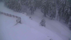 Přístup na běžeckou trať