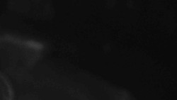 Přístup na běžeckou trať