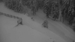 Přístup na běžeckou trať