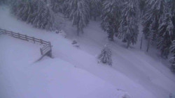 Přístup na běžeckou trať