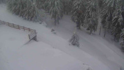 Přístup na běžeckou trať