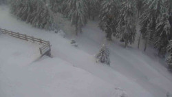 Přístup na běžeckou trať