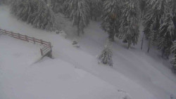 Přístup na běžeckou trať