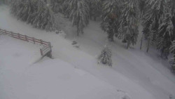 Přístup na běžeckou trať