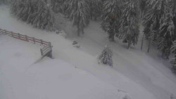 Přístup na běžeckou trať