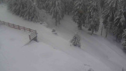 Přístup na běžeckou trať