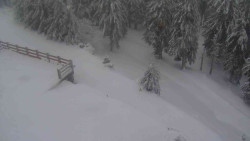 Přístup na běžeckou trať