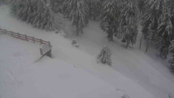 Přístup na běžeckou trať